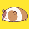 ぶもも(BuMomo) avatar icon