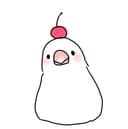 すーさん
