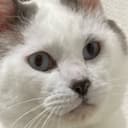 おり