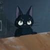 はち avatar icon