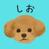 しお avatar icon