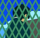 少年