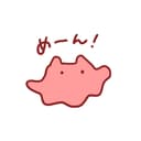 めんだこ