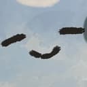 こばんざめざめざうるす